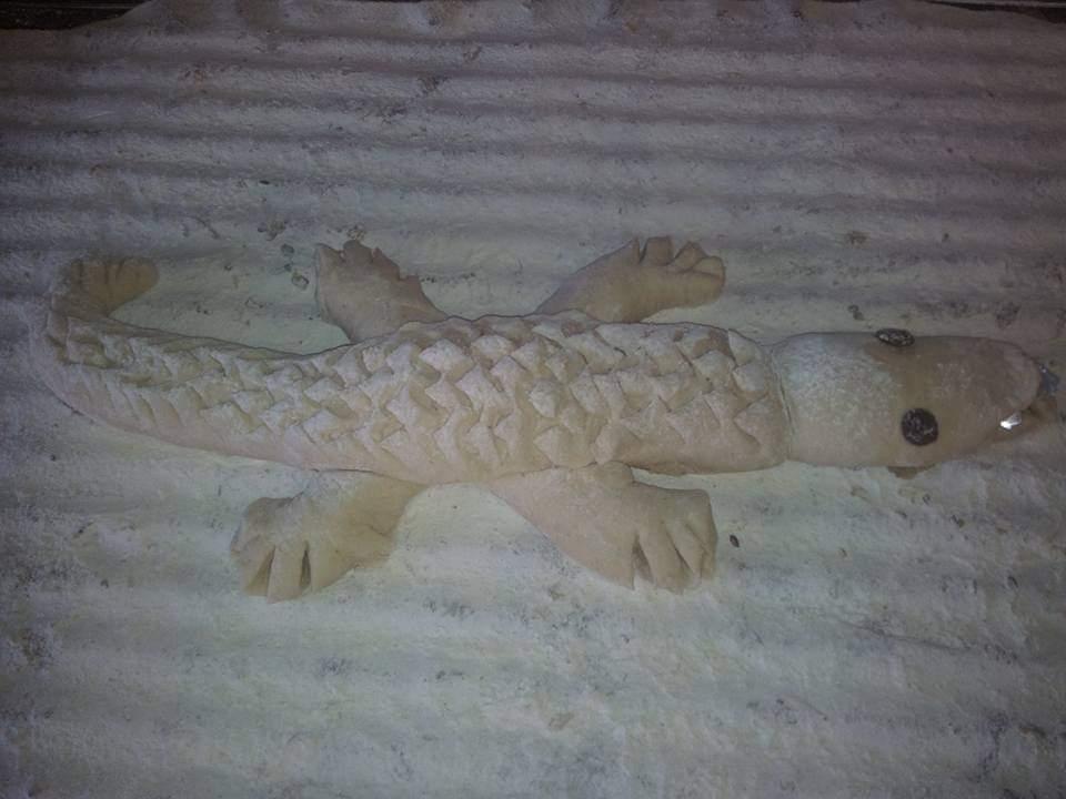 pain crocos